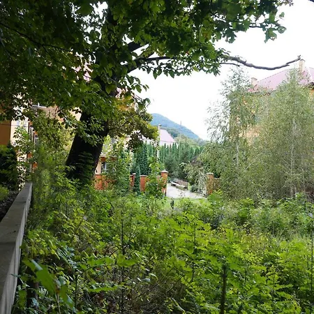 Hotel Zakarpatskiy Oazis *